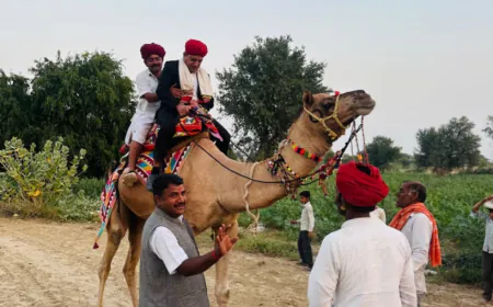 ऊंट पर बैठकर वोटर्स की खोज में जुटे SDM और BLO, बाड़मेर के रेगिस्तानी इलाकों में SIR बना बड़ी चुनौती