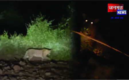 खेड़ा गांव में रात में दिखा तेंदुआ, दहशत में ग्रामीण, बच्चों को स्कूल भेजने से भी डर