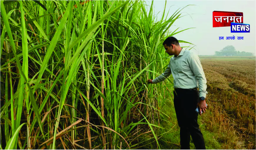 असमय बारिश से फसल क्षति का डीएम ने लिया जायजा, प्रभावित किसानों को शीघ्र मुआवजा देने के निर्देश
