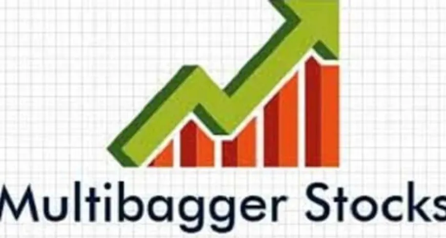 ऐसे चुनें मल्टीबैगर स्टॉक, पैसा हो जाएगा कई गुना; इन 4 रूल्स को फॉलो किया तो होंगे मालामाल