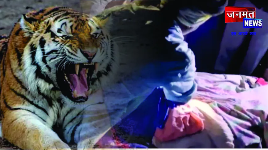 बाघ के हमले से अधेड़ की मौत, पिपरा जंगल में दहशत