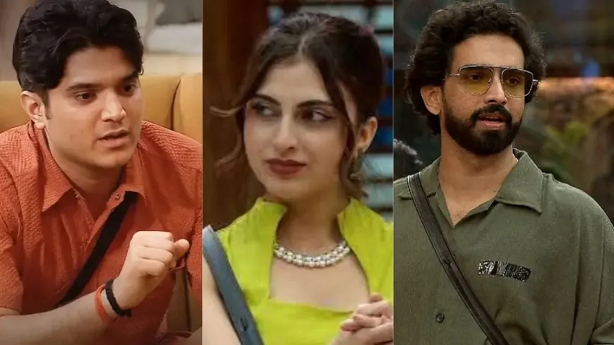 Bigg Boss 19: घर के बाहर आकर मृदुल तिवारी ने फरहाना को बताया 'टॉक्सिक' तो अमाल को 'दोगला'