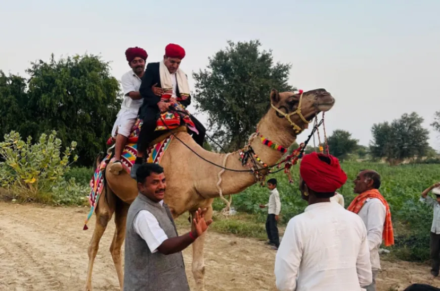 ऊंट पर बैठकर वोटर्स की खोज में जुटे SDM और BLO, बाड़मेर के रेगिस्तानी इलाकों में SIR बना बड़ी चुनौती