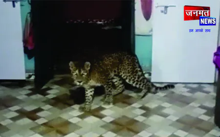 बलरामपुर में घर के अंदर घुसा तेंदुआ, पूरे गांव में हड़कंप—वन विभाग सतर्क, ग्रामीणों में दहशत