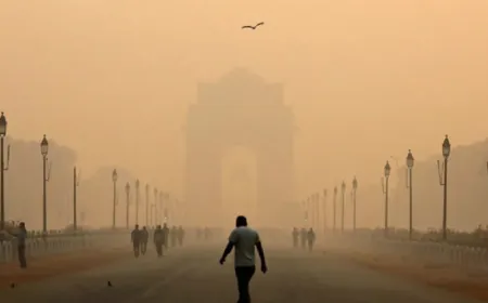 WFH, बिना PUC नहीं मिलेगा पेट्रोल… दिल्ली में आज से नई पाबंदियां लागू; जानिए डिटेल्स