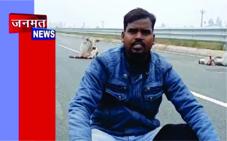 एनएचआई हाईवे पर तेज रफ्तार वाहन की टक्कर से दो गायों की मौत, एक गंभीर, प्रशासनिक उदासीनता पर समाजसेवियों का धरना