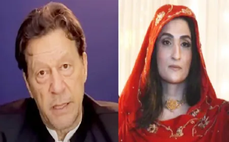 इमरान खान को तगड़ा झटका, कोर्ट ने पूर्व PM को पत्नी सहित सुनाई 17-17 साल की सजा; जानें मामला