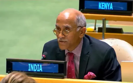 भारत ने UN में फिर खोली पाकिस्तान की पोल, कहा- सीजफायर के लिए गिड़गिड़ाया था