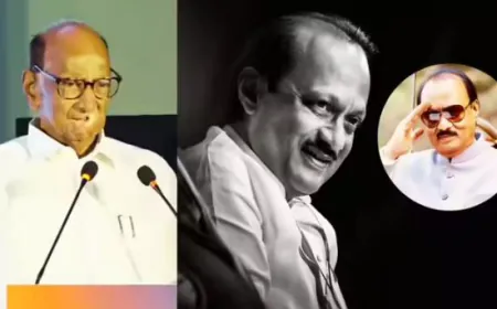 इस विमान हादसे में न हो राजनीती- शरद पवार