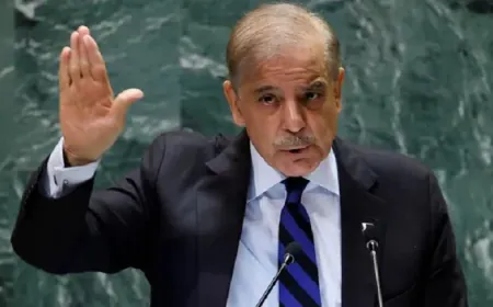 'इज्जत की कीमत चुकानी पड़ती है...', शहबाज शरीफ ने दुनिया को बताई पाकिस्तान की कंगाली की सच्चाई