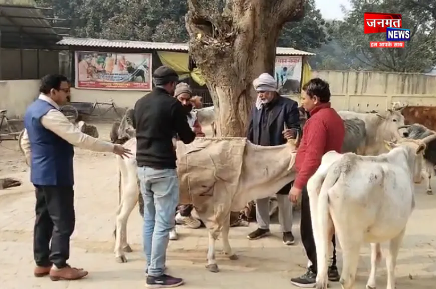 प्रतापगढ़: एलायंस क्लब की सार्थक पहल, बेजुबान पशुओं को ठंड से बचाने के लिए पहनाएं काऊ कोट