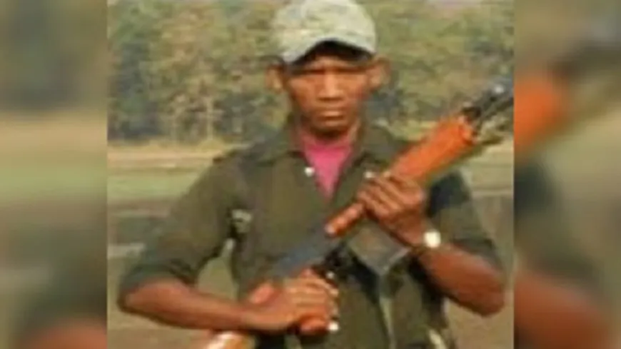 सुकमा-बीजापुर में मुठभेड़, सुरक्षाबलों ने 14 नक्सलियों को मार गिराया; नक्सली कमांडर मंगडु भी ढेर