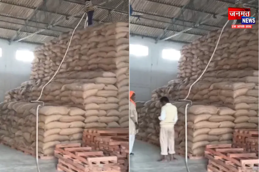 बलरामपुर में गेहूं की आपूर्ति पर सवाल, बोरे भिगोकर वजन बढ़ाने का आरोप; 9 सेकेंड का वीडियो वायरल