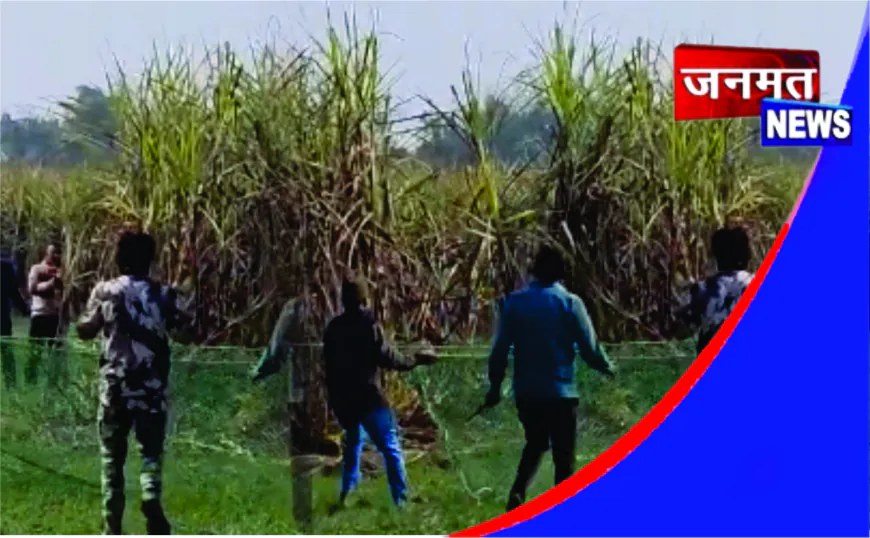 रेस्क्यू के बाद भी जाल से निकलकर फरार हुआ तेंदुआ, वन विभाग की लापरवाही पर उठे सवाल