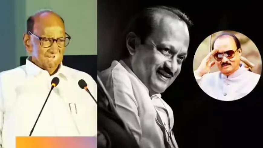 इस विमान हादसे में न हो राजनीती- शरद पवार