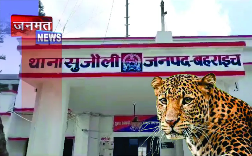 बहराइच में तेंदुए का आतंक, घर के आंगन में खेल रही 6 वर्षीय मासूम पर हमला, मौके पर मौत