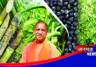 गन्ना के साथ तिलहन–दलहन अंतःफसली खेती से किसानों की आय होगी बहुगुणित: मुख्यमंत्री योगी