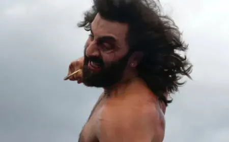 रणबीर कपूर की एनिमल पार्क का वार होगा और भी ज्यादा खतरनाक, शूटिंग से कहानी तक आ गई पूरी अपडेट