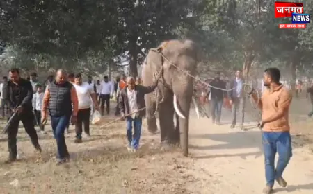 प्रतापगढ़ के भाजपा नेता को गिफ्ट में मिला हाथी 'जात्रा सिंह', गांव पहुंचने पर किया गया भव्य स्वागत