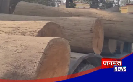 बलरामपुर: कुआनो रेंज में लकड़ी माफियाओं पर लगातार हो रही कार्रवाई, 9 बोटा साखू लकड़ी बरामद