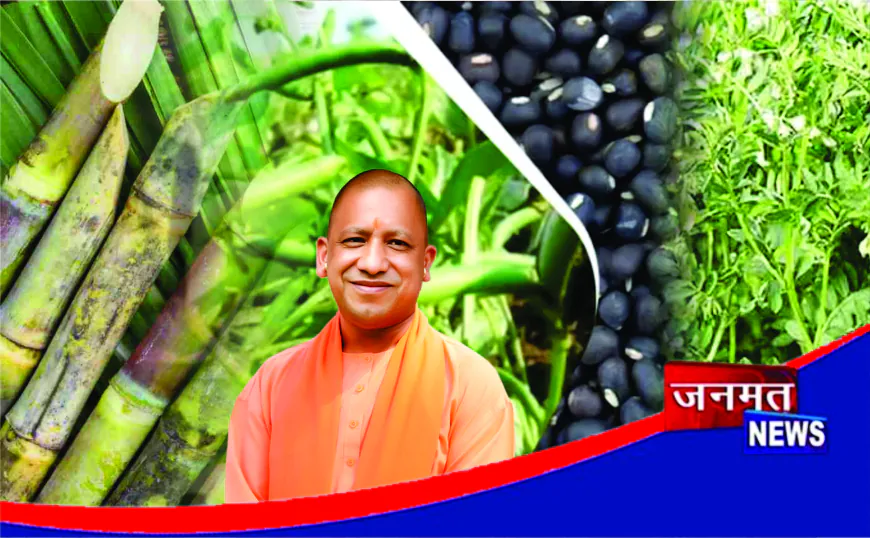 गन्ना के साथ तिलहन–दलहन अंतःफसली खेती से किसानों की आय होगी बहुगुणित: मुख्यमंत्री योगी