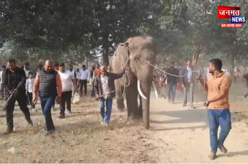 प्रतापगढ़ के भाजपा नेता को गिफ्ट में मिला हाथी 'जात्रा सिंह', गांव पहुंचने पर किया गया भव्य स्वागत