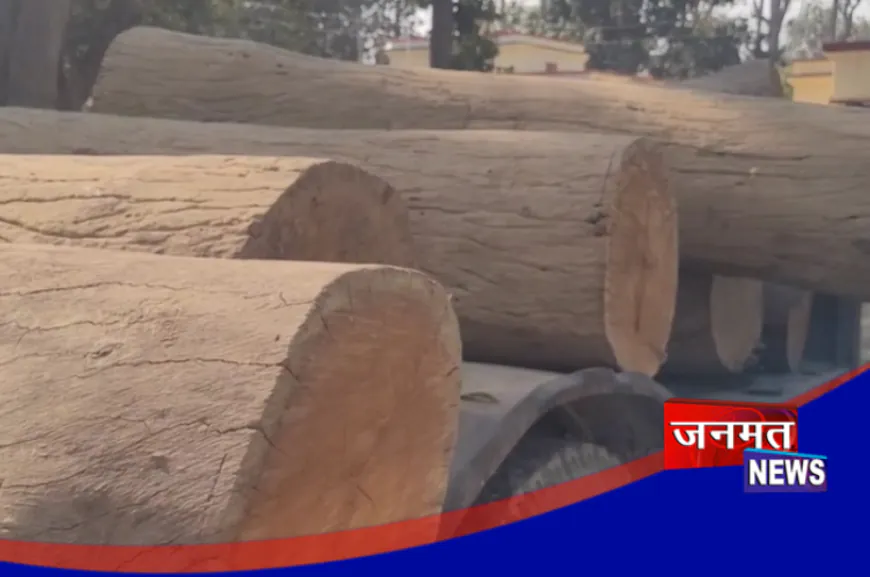 बलरामपुर: कुआनो रेंज में लकड़ी माफियाओं पर लगातार हो रही कार्रवाई, 9 बोटा साखू लकड़ी बरामद