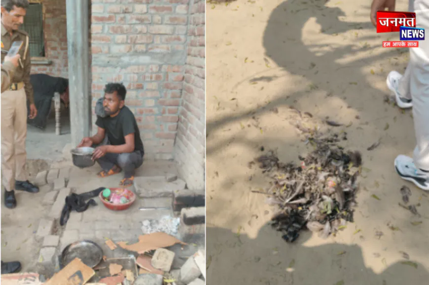 एटा: राष्ट्रीय पक्षी मोर की हत्या कर पकाया,  सूचना पर पहुंचे वन कर्मी; दर्ज कराई एफआईआर