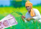 देश के करोड़ों किसान को  मिला  सरकार की तरफ से तोहफा