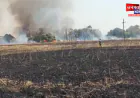 चंदौली: गेहूं की खड़ी फसल में लगी भीषण आग, 50 बीघा फसल जलकर राख
