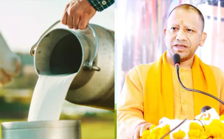 बुंदेलखंड में डेयरी क्षमता बढ़ाने की परियोजनाओं को मिली मंजूरी