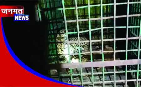 बहराइच में दहशत का कारण बना तेंदुआ पिंजरे में हुआ कैद, ग्रामीणों ने ली राहत की सांस