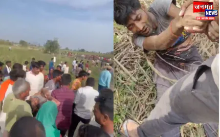 लखीमपुर खीरी: बाघ के हमले में युवक घायल, खेतों में काम कर रहे लोगों ने शोर मचाकर बचाई जान