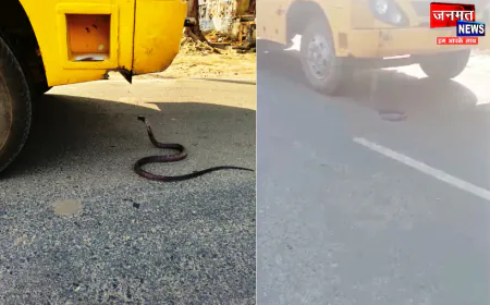 औरैया: स्कूल बस के सामने आ गया सांप, बच्चों में फ़ैल गई दहशत; 25 मिनट तक रुका रास्ता