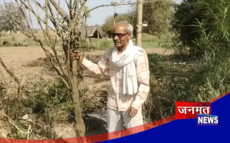 प्रतापगढ़ में किसान ने किया कमाल, उगाया 12 फीट लंबा अरहर; बना आकर्षण का केंद्र