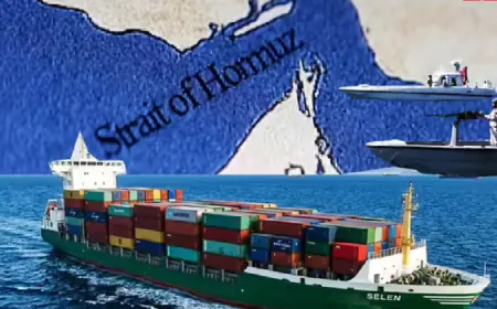 शहबाज को बड़ा झटका, ईरान ने होर्मुज जलडमरूमध्य में घुस रहे पाकिस्‍तानी जहाज को रास्ते से खदेड़ा