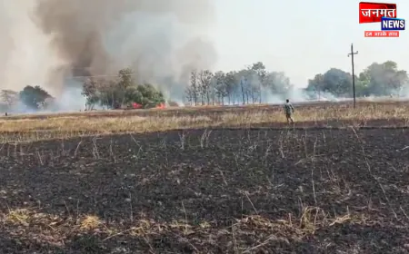 चंदौली: गेहूं की खड़ी फसल में लगी भीषण आग, 50 बीघा फसल जलकर राख