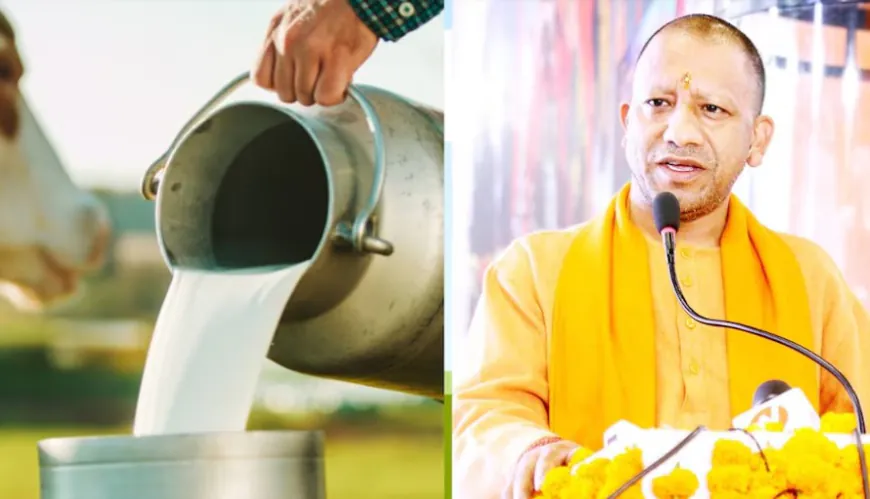 बुंदेलखंड में डेयरी क्षमता बढ़ाने की परियोजनाओं को मिली मंजूरी