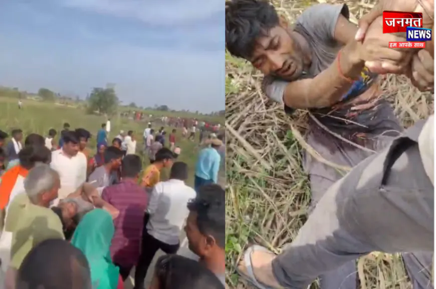 लखीमपुर खीरी: बाघ के हमले में युवक घायल, खेतों में काम कर रहे लोगों ने शोर मचाकर बचाई जान