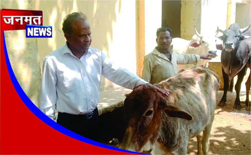 गर्मी को देखते हुए गौशालाओं का औचक निरीक्षण, व्यवस्थाएं दुरुस्त रखने के दिए निर्देश