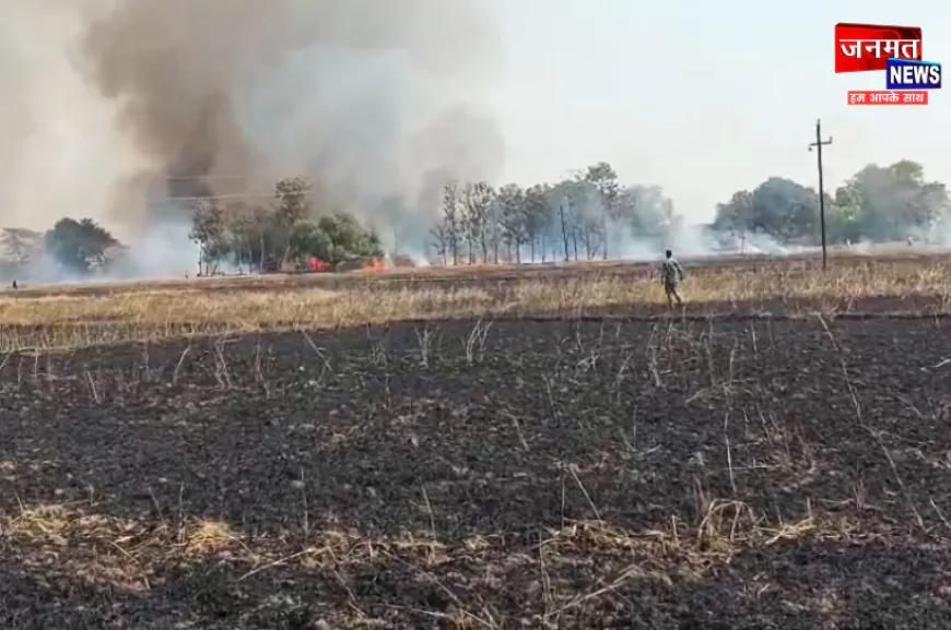 चंदौली: गेहूं की खड़ी फसल में लगी भीषण आग, 50 बीघा फसल जलकर राख