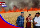 औरैया में भीषण आग से 100 बीघा गेहूं की फसल जलकर खाक, 25 किसान प्रभावित
