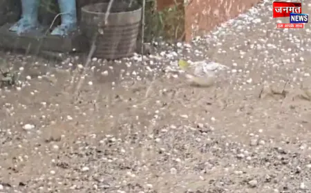 संभल में ओलावृष्टि और तेज बारिश से गेहूं की फसल पूरी तरह बर्बाद, किसानों ने की मुआवजे की मांग