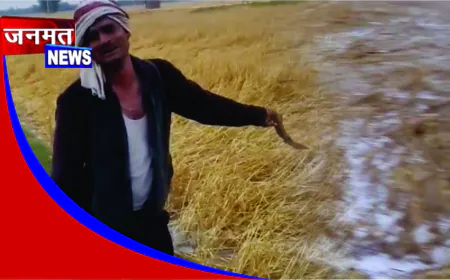 बेमौसम बारिश और ओलावृष्टि से फसल तबाह, खेत में रोता दिखा किसान
