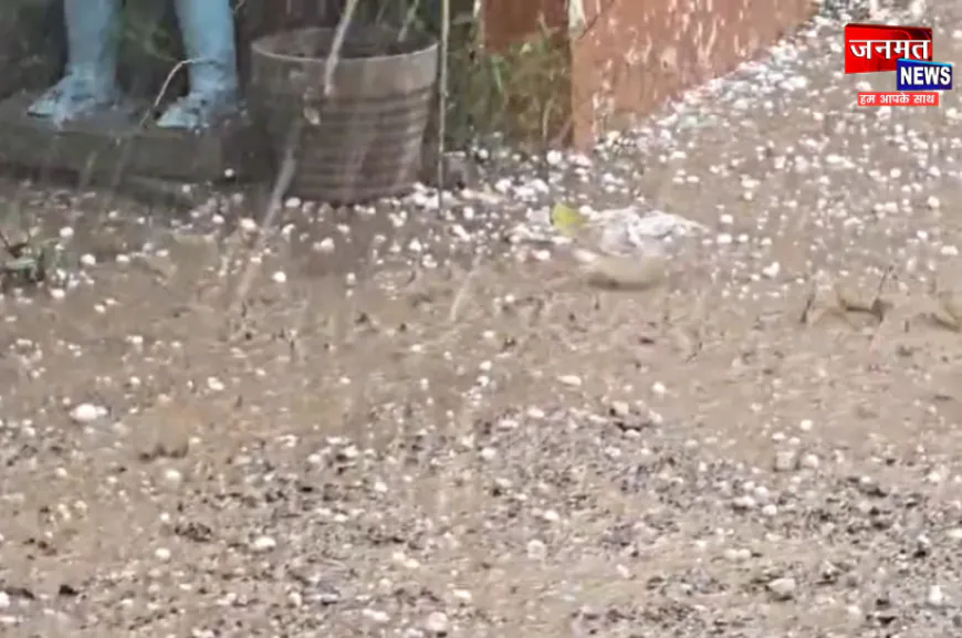 संभल में ओलावृष्टि और तेज बारिश से गेहूं की फसल पूरी तरह बर्बाद, किसानों ने की मुआवजे की मांग