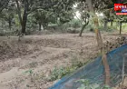 सीतापुर के खैराबाद में नजूल भूमि पर कब्जे को लेकर विवाद, सभासदों पर लगे गंभीर आरोप