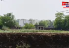 भदोही: तालाब की जमीन पर कब्ज़ा कर हो रही है खेती, सामने आई प्रशासन की मिलीभगत