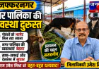 मुजफ्फरनगर में गोवंशों की देखभाल में सुधार, सराही गई नगर पालिका की व्यवस्था