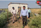 उरई: खेती में आधुनिक तकनीक को बढ़ावा देने में जुटा प्रशासन, डीएम ने इरिगेशन सिस्टम का किया औचक निरीक्षण