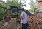 कौशाम्बी: कच्चे मकान पर गिरा पेड़, मलबे के नीचे दबकर तीन की मौत; गांव में पसरा मातम